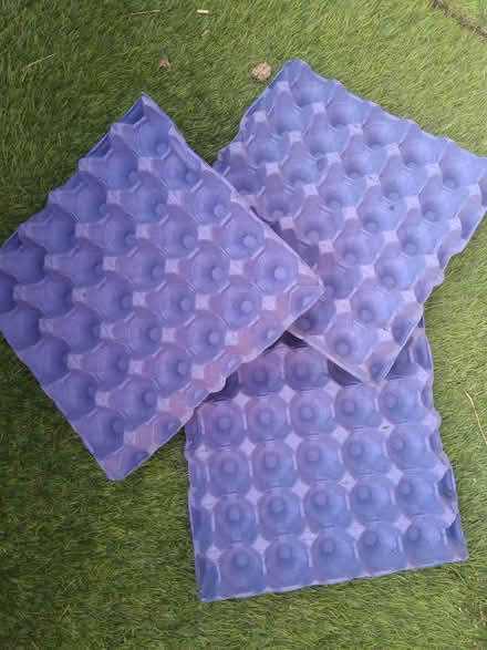 Photo of free Egg Trays (Leighton buzzard LU7) #1