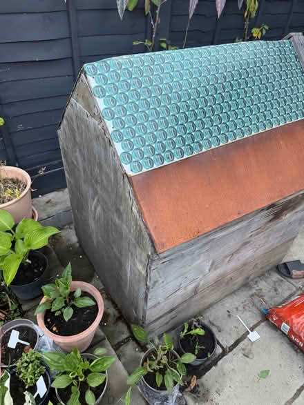 Photo of free Wooden dog house (New Cross SE14) #3