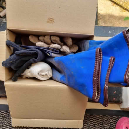 Photo of free 5 pr garden / work gloves (CB4 3) #1