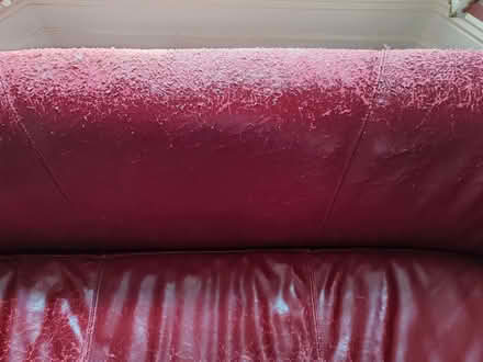 Photo of free 2 seater leather sofa (in our case dog and cat bed π= (Southsea PO4) #2
