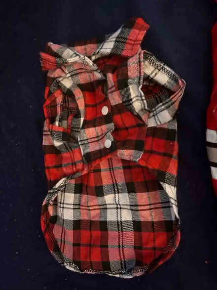 Photo of free Doggie coats, sweaters (Wood-Ridge) #3