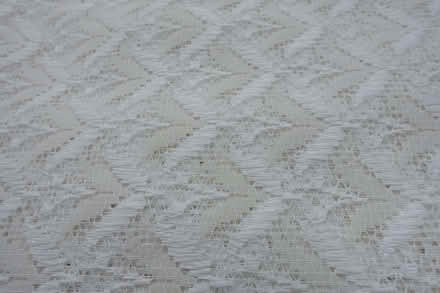 Photo of free Large cream net curtain (Acklam TS5) #1