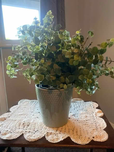 Photo of free Fake plants in pots (New Malden KT3) #4