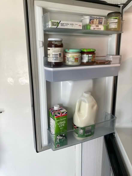 Photo of free Fridge freezer (Wellington TF1) #4