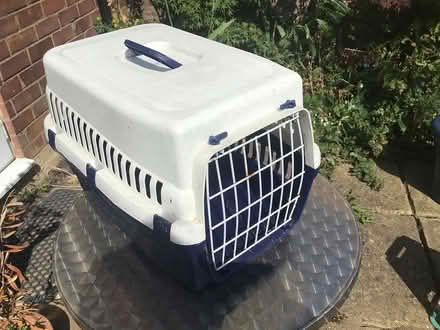 Photo of free Cat carrier basket (Bletchley MK2) #1