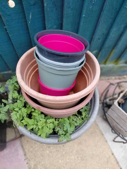Photo of free Flower pots (Bexhill-on-Sea) #4