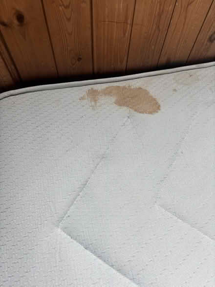 Photo of free Double mattress (BH15 Poole) #3