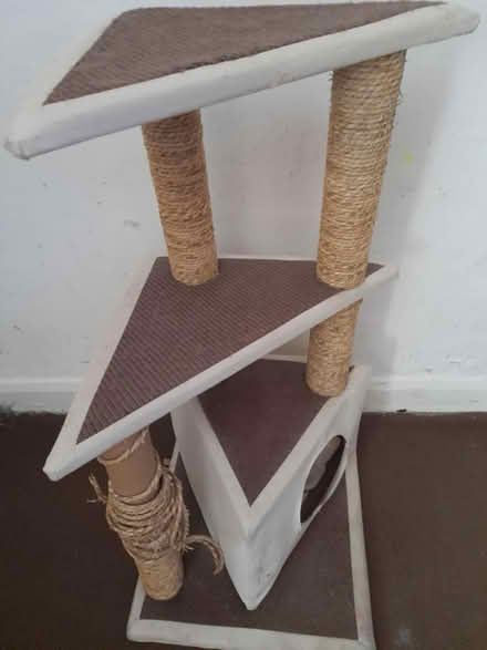 Photo of free Cat scratcher stand (M19, Manchester) #2