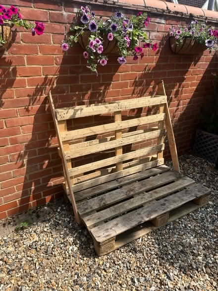 Photo of free Wood Pallet (IP32) #1