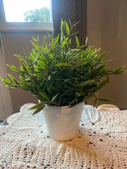 Photo of free Fake plants in pots (New Malden KT3) #3
