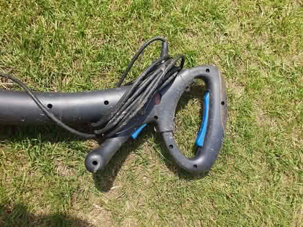 Photo of free Strimmer (Odd Down) #1