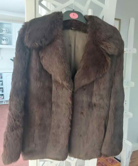 Photo of free Womans Jacket (Falkland KY15) #1