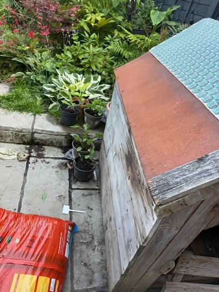 Photo of free Wooden dog house (New Cross SE14) #2