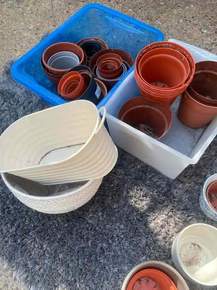 Photo of free Selection of plant pots (New Malden KT3) #3