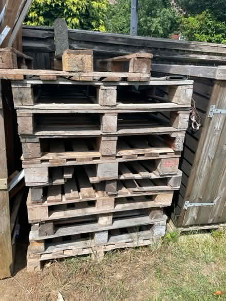 Photo of free Pallets (Sevenoaks TN13) #1