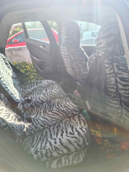 Photo of free Fake fur car seat covers (BS5) #3