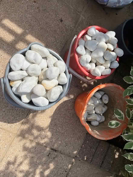 Photo of free Garden stones (Aldwick. Bognor Regis) #2