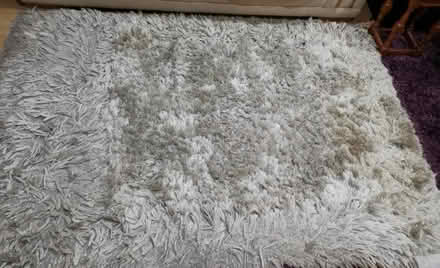 Photo of free thick top luxury silver rug (Mosborough, S20) #1
