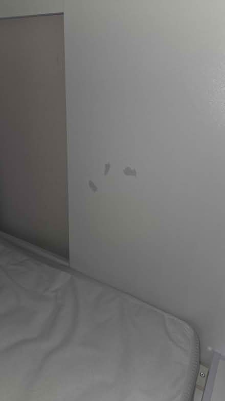Photo of free Single bunk bed with mattresses (TW7) #2