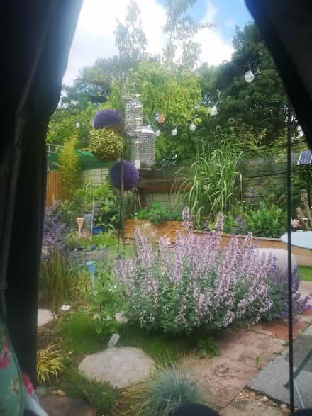 Photo of Bird bath wanted for my garden (Brighton Hill RG22) #1