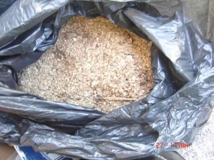 Photo of free Sawdust (BA2) #1