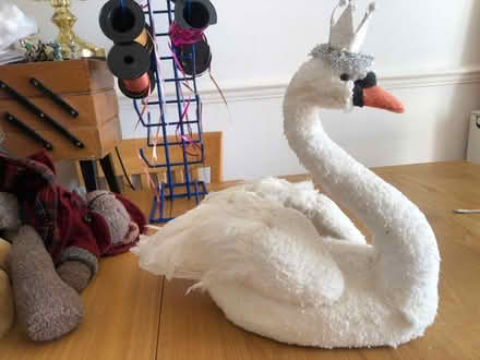 Photo of free Large White Swan (Cheshunt En8) #2