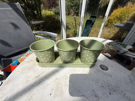 Photo of free Various plant pots for indoor plants (Broxbourne EN10) #2