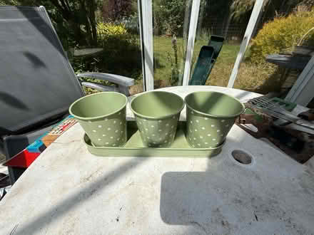 Photo of free Various plant pots for indoor plants (Broxbourne EN10) #2