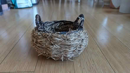 Photo of free Decorative planter / basket (Oakland) #1