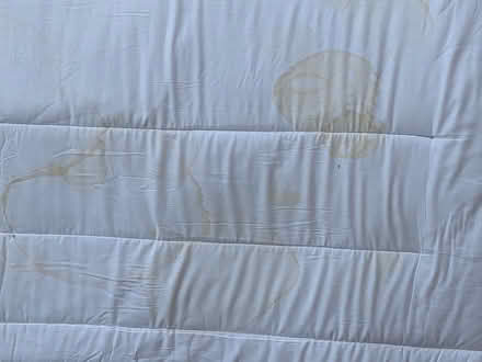 Photo of free Devon Duvets Mattress Topper 80x75 (Holland Park W11) #4