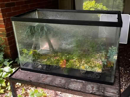 Photo of free Aquarium with assorted decor (Wagner Rd and Miller Rd) #2