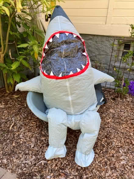 Photo of free Adult inflatable shark costume (Presidio) #1