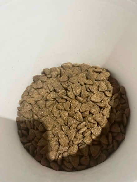 Photo of free 1kg of dog food (Amersham HP6) #2