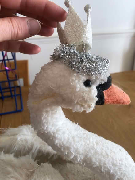Photo of free Large White Swan (Cheshunt En8) #3
