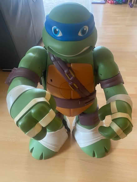 Photo of free Mutant Ninja Turtle Toy (Charlestown of Aberlour AB38) #1