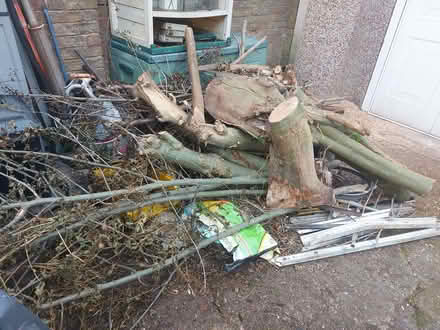 Photo of free Tree Wood for burning (Guide Bridge OL7) #4