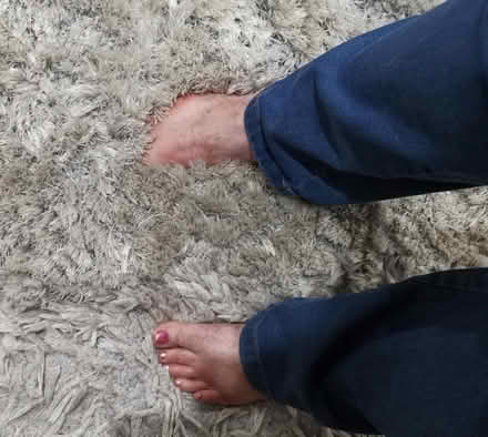 Photo of free thick top luxury silver rug (Mosborough, S20) #2