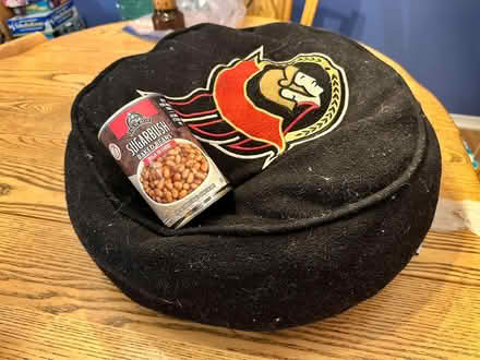 Photo of free senators cushion (Beaverbrook) #1