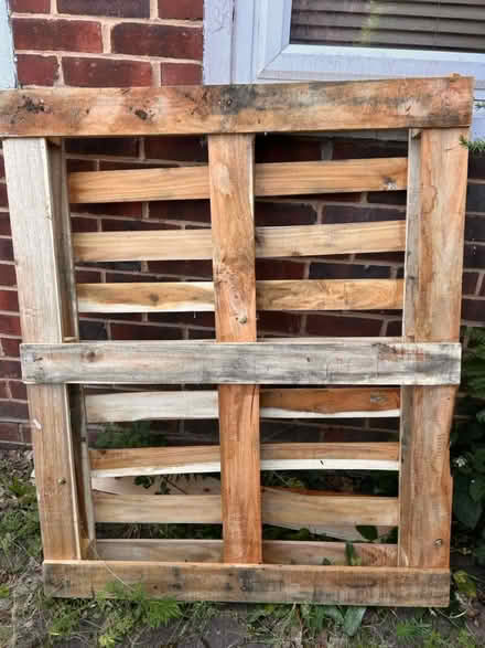 Photo of free Pallet (Bromley BR2) #2