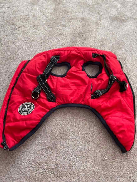 Photo of free Dog coat (Rayleigh SS6) #3