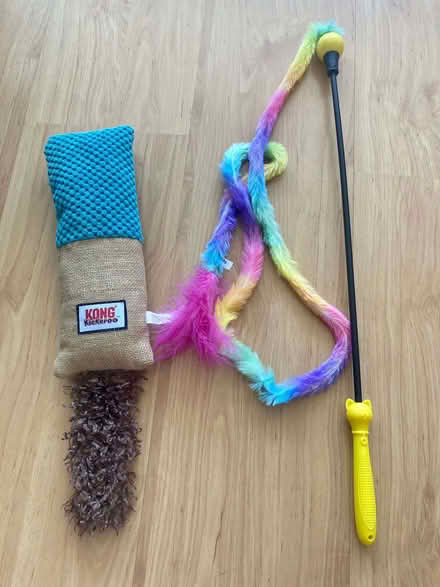 Photo of free 2 cat toys (North Road N7) #1