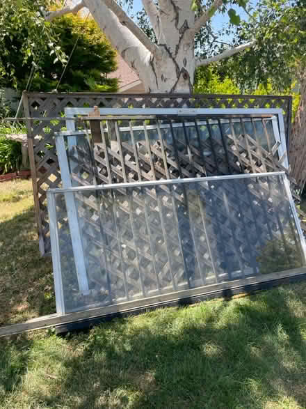 Photo of free lattice, etc (San Mateo) #1