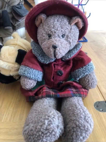 Photo of free Christmas Bella Bear 🧸 (Cheshunt En8) #1
