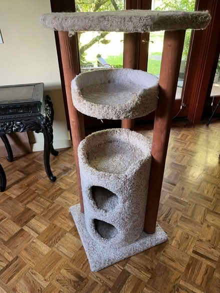 Photo of free Cat Tree (Queen Anne) #1