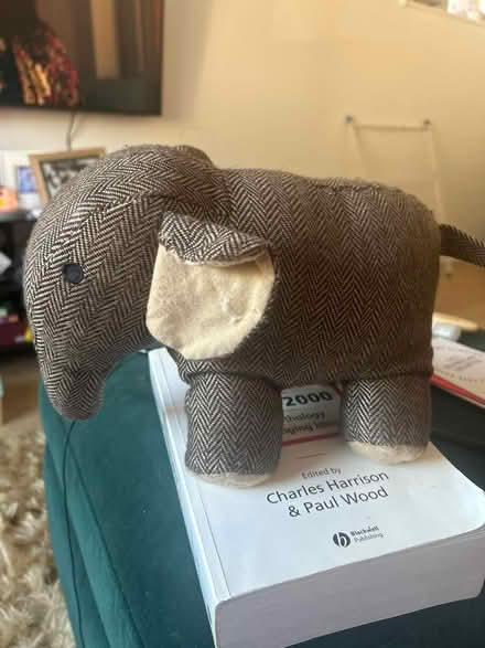 Photo of free Elephant door stop (Park street st albans AL2) #1