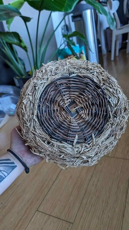 Photo of free Decorative planter / basket (Oakland) #3