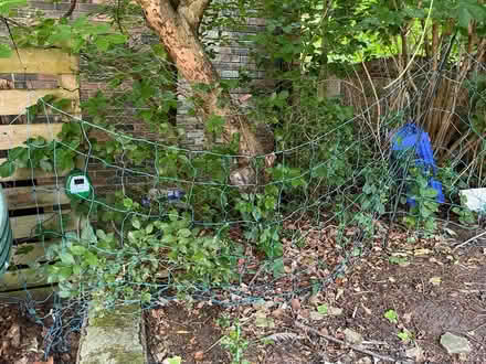 Photo of free 50m long 1.2m high electric fence (Prestwich M25) #1