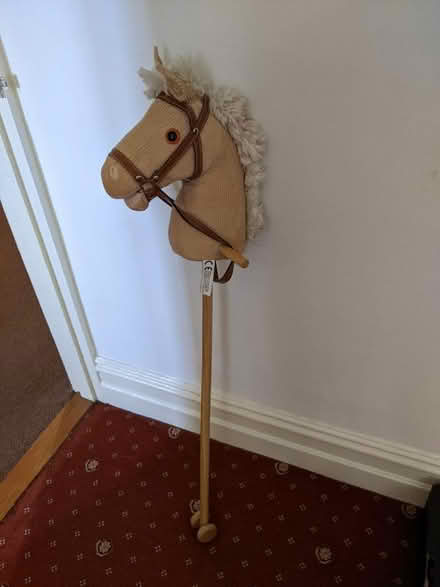 Photo of free Hobby horse (Norton St. Philip BA2) #1