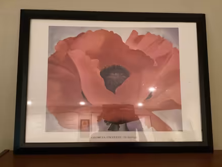 Photo of free Framed Poster (Catonsville near old EC) #1
