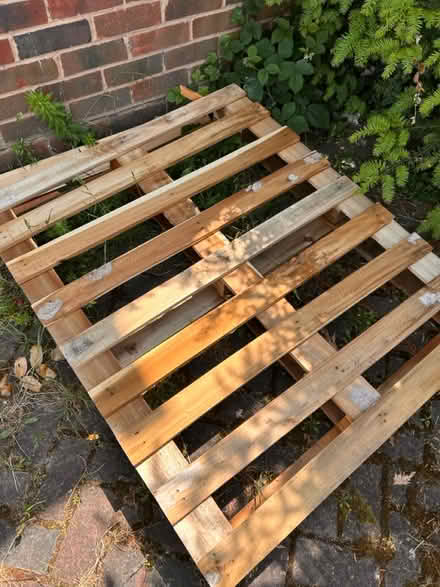 Photo of free Pallet (Bromley BR2) #1